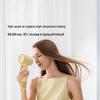 Laifen SE 2 High-Speed Hair Dryer CN plug (adapter included)