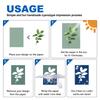 uxcell Cyanotype 24 High Sensitivity Sunprint Kit for Adult DIY Pink Craft Inches Paper, Sheets, Art, Paper, 4.1x5.8 (A6 Size)