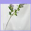 Decorațiuni pentru casă – Flori decorative şi coroane de flori