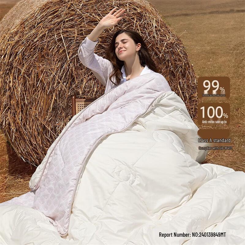 Mercury Evelyn Antibacterial Australian Wool All-Season 2-in-1 Duvet