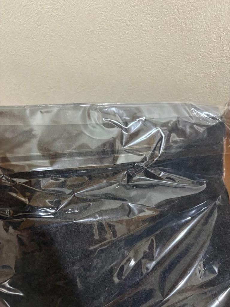 [USED] Stray Kids dominATE JAPAN Long T-shirt, Size L