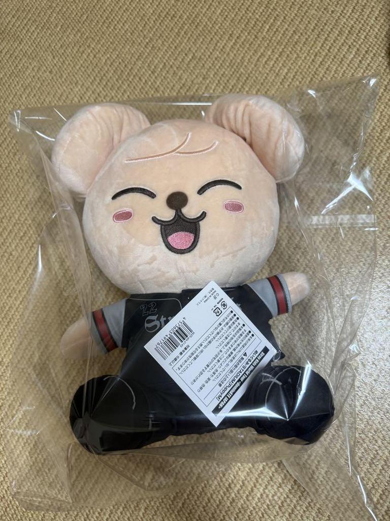 [USED] Stray Kids Ecopa Papim Plush Toy