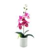 Bonsai Artificial Phalaenopsis Green Plant For Living Room Decor Present Gift