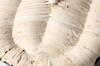 Edoten Geta Sandals with Tire Soles and Corn Straps, White Straps, Made In Japan, Size M