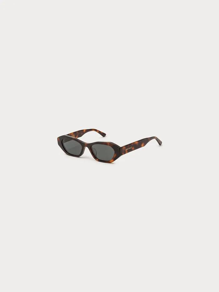 S 008 TORTOISE