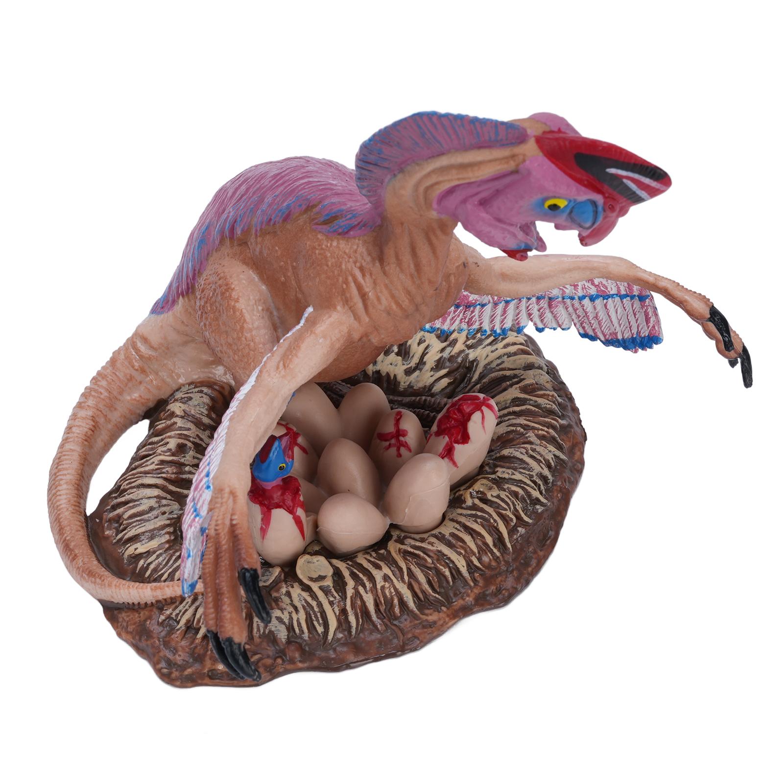 Oviraptor  saur Toy    saur Lifelike High Detailed Educational Figurine   Model for Children