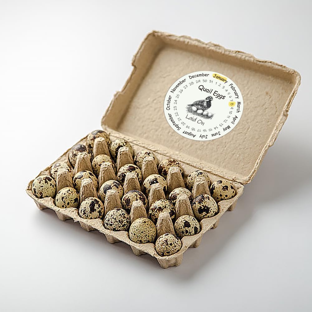 320 Pcs Quail Farm Fresh Eggs Stickers, 2 Inch Round Unwashed Eggs Carton Labels Sticker PET Adhesive Egg Packaging Stickers for Box Container Carton