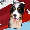 Berner Sennenhund Hülle Für Samsung Galaxy S26 S25 S24 S21 S22 S20 Ultra S9 S10 Plus S23 FE S25 FE Handyhülle