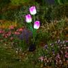 Tulip Solar Garden Stake Light: Outdoor Decorative Lawn Lamp