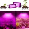 LEDs Grow Light  Full Spectrum Vegetable and Flower Indoor Plants Growing Lamp  for Hydroponic Greenhouse