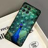 Coque à motif paon animal pour Samsung Galaxy M33 M53 M13 M15 M35 M55 M32 M16 M36 M56 M54 M20 M52 M34 M14 M11 M31