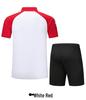 Quick-Dry Sports Short Sleeve Set: Casual Zipper for Table Tennis, Swimming, Martial Arts Coaching
