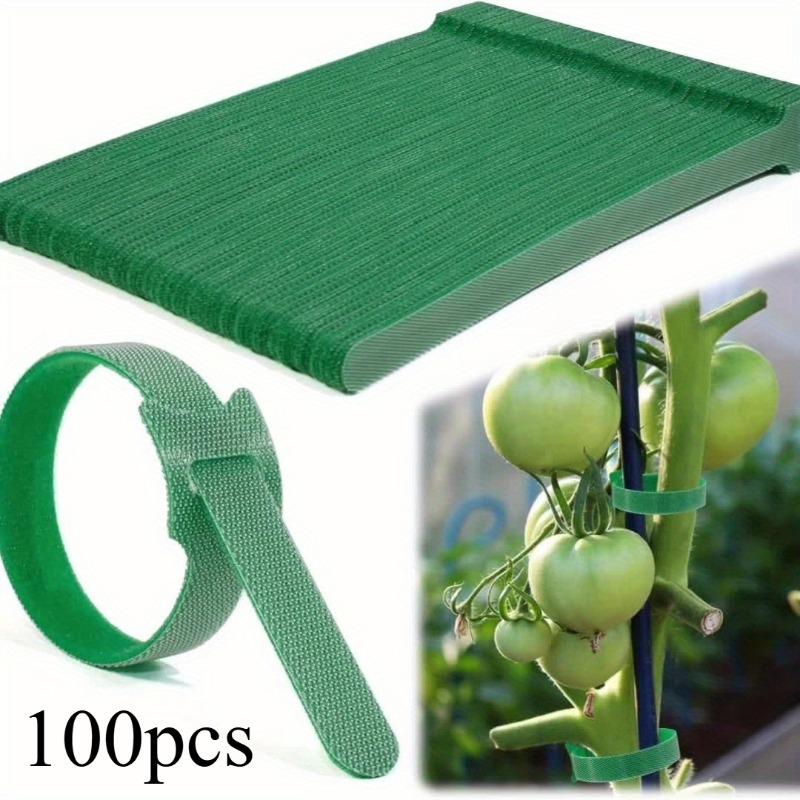 10/50/100/200pcs Reusable Adjustable Non-Slip Nylon Plant Ties with Hook and Loop Fasteners, Ideal for Gardening Applications
