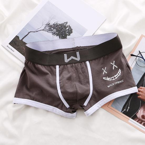 Muži Boxerské spodní prádlo Středně rostoucí elastický široký pás Šortky Kalhotky Kreslený potisk Slim Fit Spací prádlo