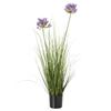 Hill Interiors Agapanthus Plant Pot