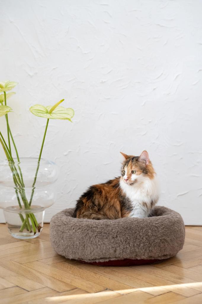 Round Natural Wool Pet Bed - Beige 30 Cm