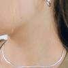 NUOY (925 Silver) Simple Silver Snake Necklace