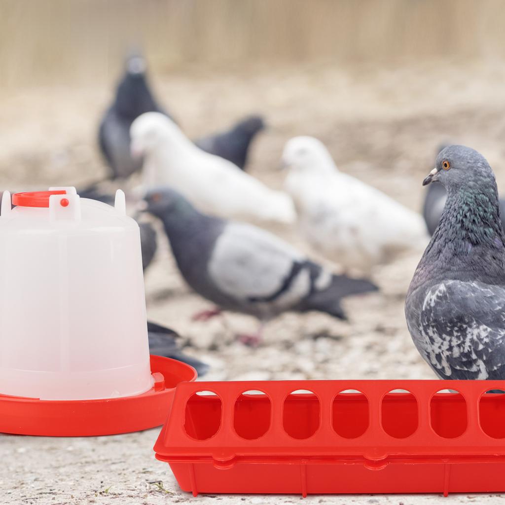 6 Plastic Flip Top Small Poultry Feeder for Pigeon Chicken Feeder Drinker