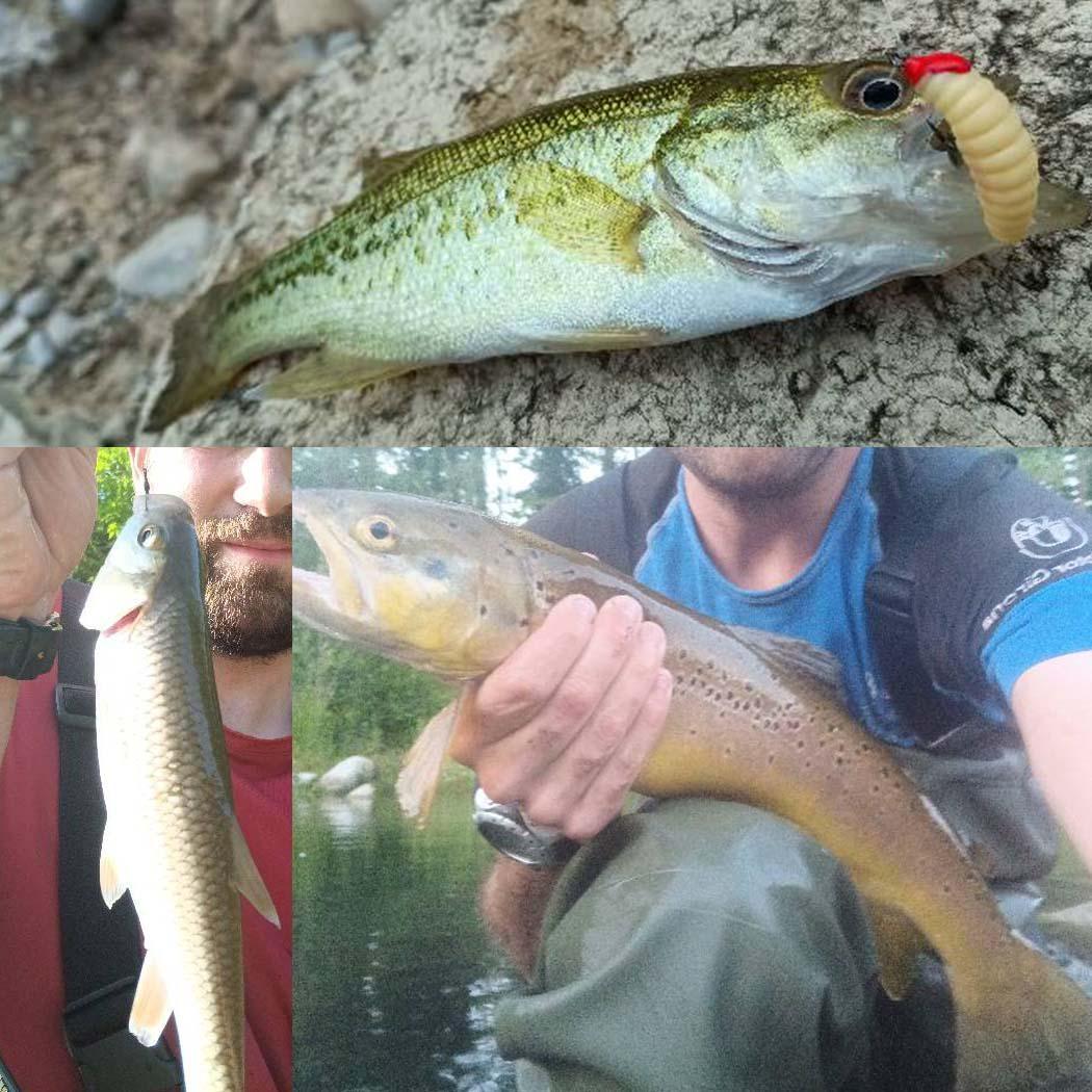 5шт мягкие приманки черви рыболовные приманки океанская речная рыбалка 5Pcs бежевый — фото 7