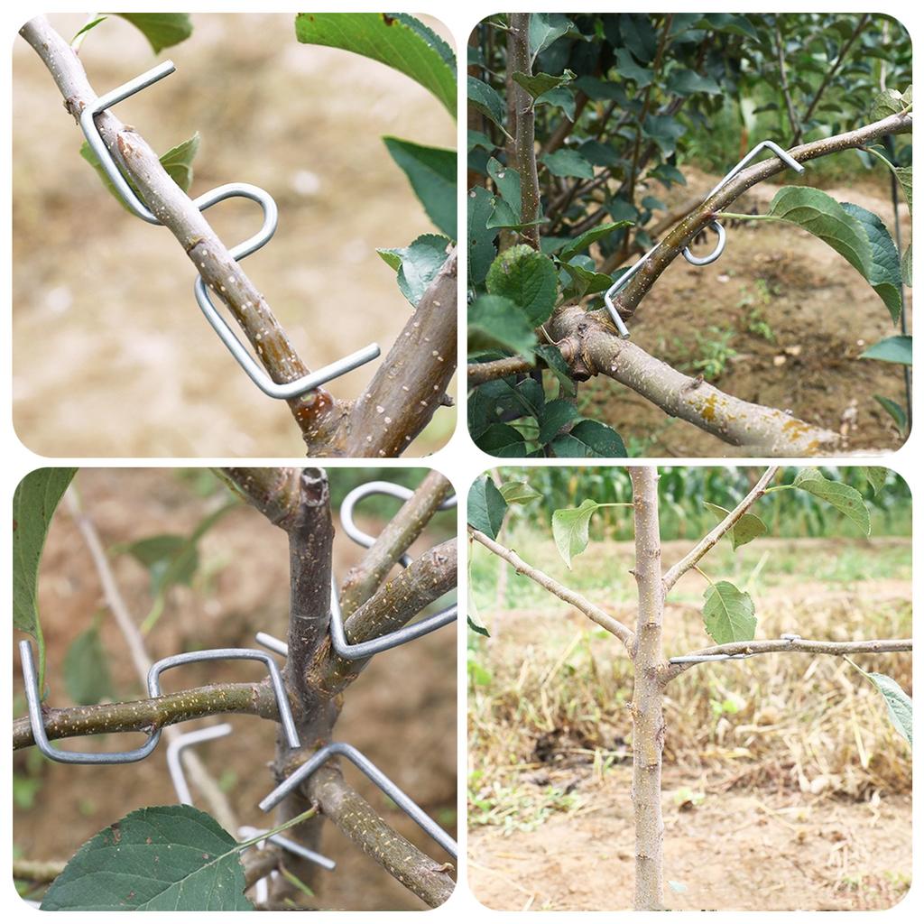 20/50/100Pcs Fruit Tree Branch Puller Tying Machine Farm Tool Plum Tree Open Angle Pull Branch Bending Tool Fruit Branch