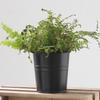 Ins Simple Black Distressed Tin Flower Bucket with Detachable Hook - Decorative Flower Pot Holder