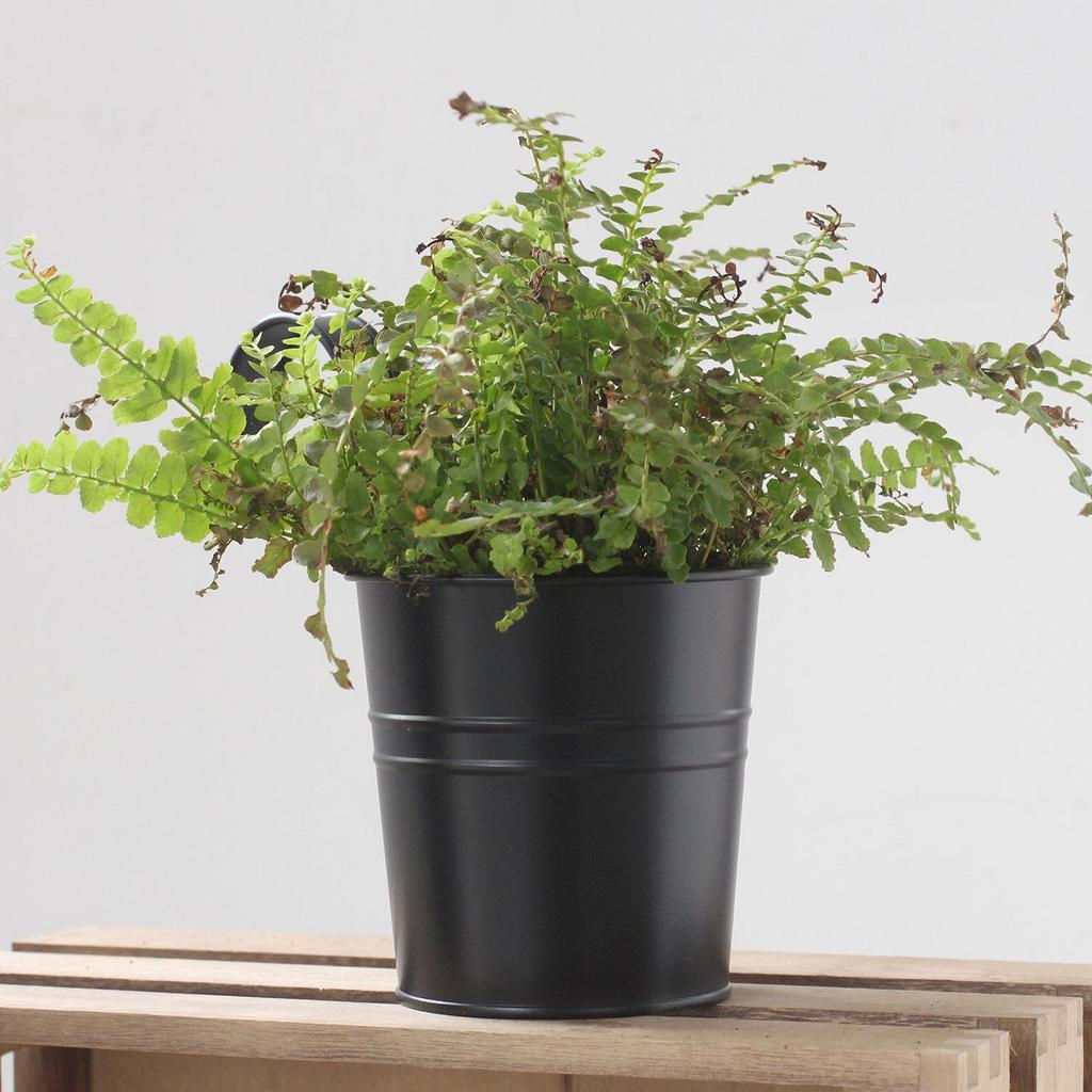 Ins Simple Black Distressed Tin Flower Bucket with Detachable Hook - Decorative Flower Pot Holder