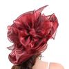 Organza Actress Summer UV Protection Flower Wide Slimming Beach Birthday Present [IPENNYE] Women's Hat, Hat, Headpiece, Hat, Hat, Brim, Cap, Effect,