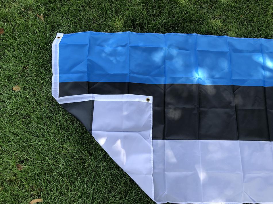 SKY FLAG Bandiera dell'Estonia Stendardo 90*150cm Poliestere di Alta Qualità Bandiera Nazionale dell'Estonia da Appendere Per Decorazione Domestica e Attività