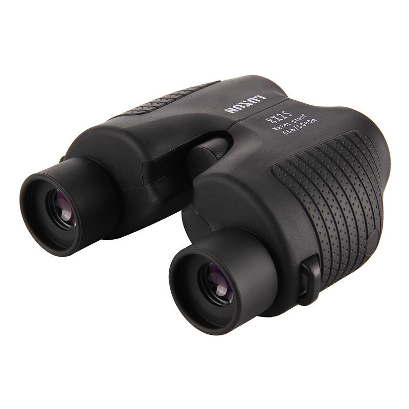 Concert 10x25 Auto-Focus Compact Binoculars: High Magnification, HD Night Vision, Professional Grade