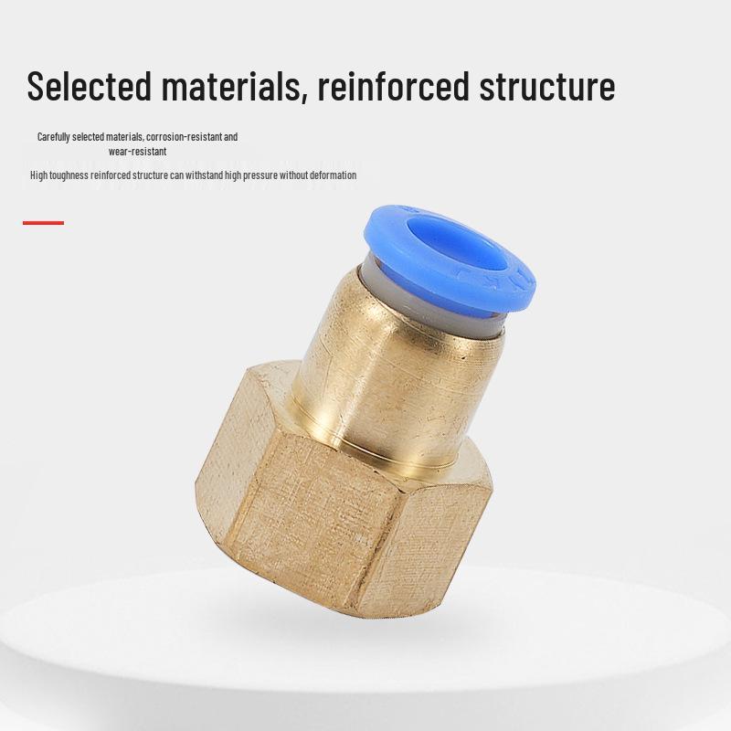 Stainless Steel Pneumatic Quick Connect Hose Fitting, Internal Thread, Straight Through, PCF Series