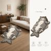 Anti-fouling Home Decor Carpet Easy To Clean Cartoon Cat Carpet Fish-Shaped Area Rug  Bedrooms