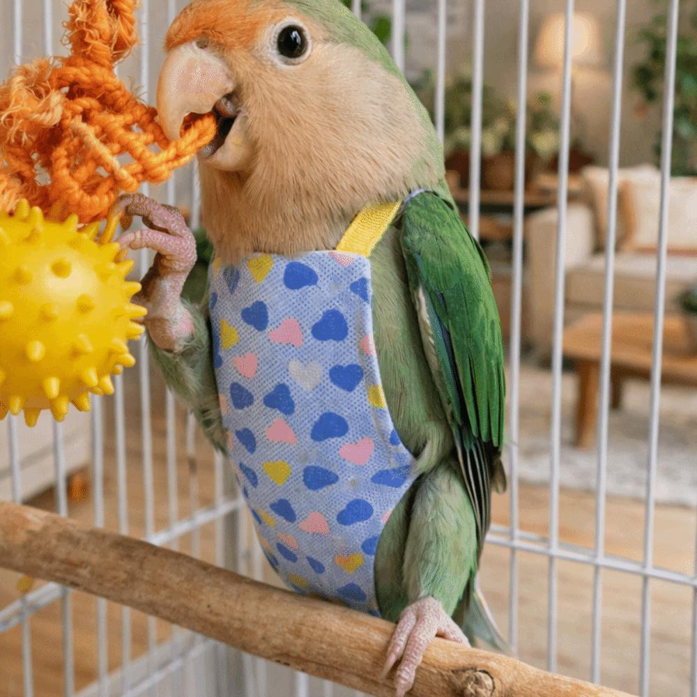 Escape Proof Parrot Flying Harness Breathable Bird Flight Clothes Bird Flight Suits Bird Training