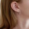 Two Ring Cubic Earring