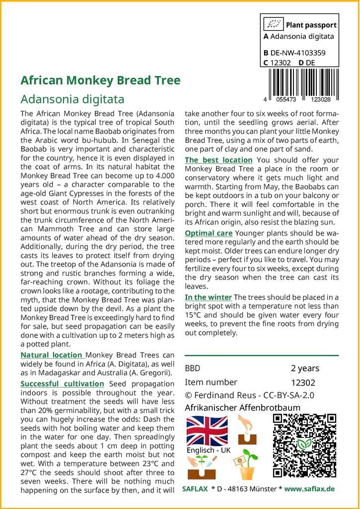 SAFLAX Zestaw do uprawy - Baobab afrykański - 6 nasion - Z mini szklarnią, podłożem do uprawy i 2 doniczkami - Adansonia digitata