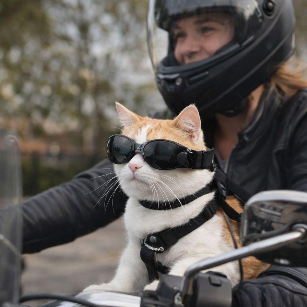 Dustproof Pet Waterproof Glasses Windproof Dog Eye Wear Fashion Anti UV Pet Goggles  Summer Use