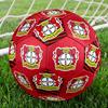 Bayer 04 Leverkusen Football Club Indoor Size 5 Soccer Ball Colorful Machine Stitched PVC Competition Ready Durable High-Bounce