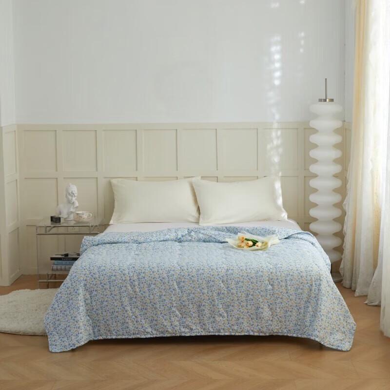 

Hongdou Soft Cotton Summer Air Conditioning Quilt 150x200cm