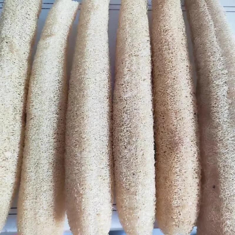 1 Stück Natürlicher Luffaschwamm Mehrzweck-Reinigungswerkzeug für Küche Badezimmer Scheuerschwamm für tägliche Reinigung Waschen Körperpeeling Spa