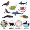 TOYMANY Marine Life Figure Miniature Marine Animal Realistic Animal Ocean Popular Birthday New Ages 6 and Up 24-Piece Set, Models, Models, Toys,