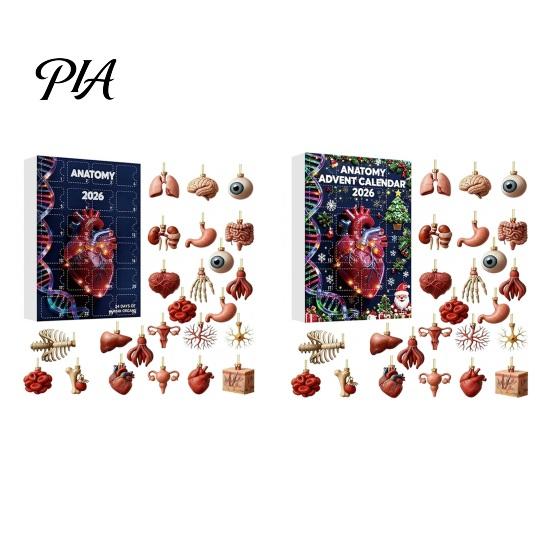 Medizinische Enthusiasten Sammlerstücke 2026 Anatomie Adventskalender, 24-Tage Körperorgan Schmuckset, Menschliche Anatomische Weihnachtsbaum Anhänger Hängend