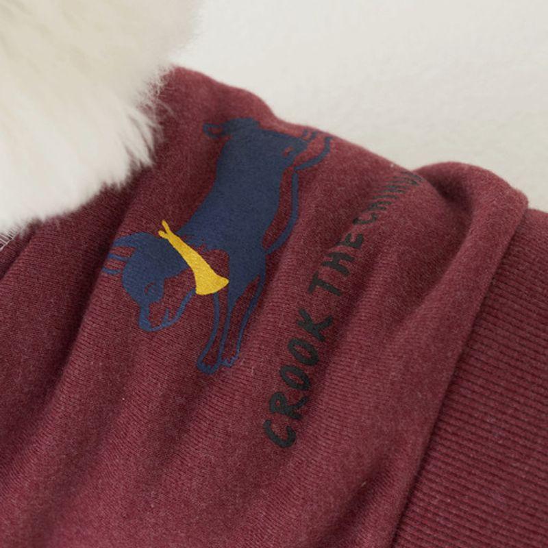 Sweatshirt graphique CROOKTHECHIHUAHUA Logo - dahlia rouge