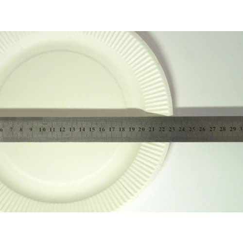 [Water-resistant Surface Treatment! Perfect for Outdoor Activities and Parties] 23cm Paper Plates, 8-count, Disposable, Made In Japan [Set of 2]