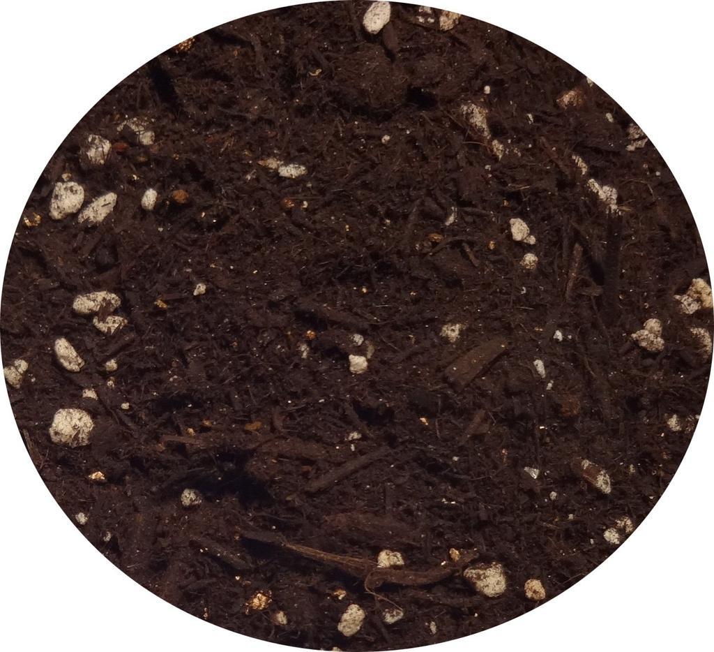 Natural Applied Science Recycled Soil Material That Revives Just by Sprinkling 14L It,