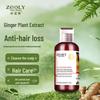 Zhuo Lan Ya Anti-Hair Loss Scalp Shampoo