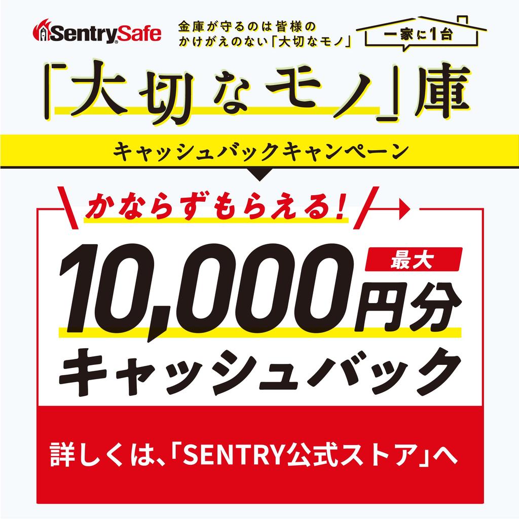 SENTRY Safe Home ETL Standard 72 Hours Waterproof UL Standard 1 Hour Fireproof Storage Box with Key A4 Tubular Key Black CFW30200 10.2L