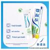 Sensodyne Fresh Mint Anti-Sensitivity Toothpaste