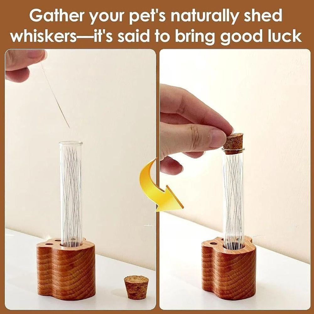 Wooden Base Cat Hair Holder Paw Shape Multi-functional Hair Keepsake Display Vase Durable Transparent Pet Memorial Gift Trinkets