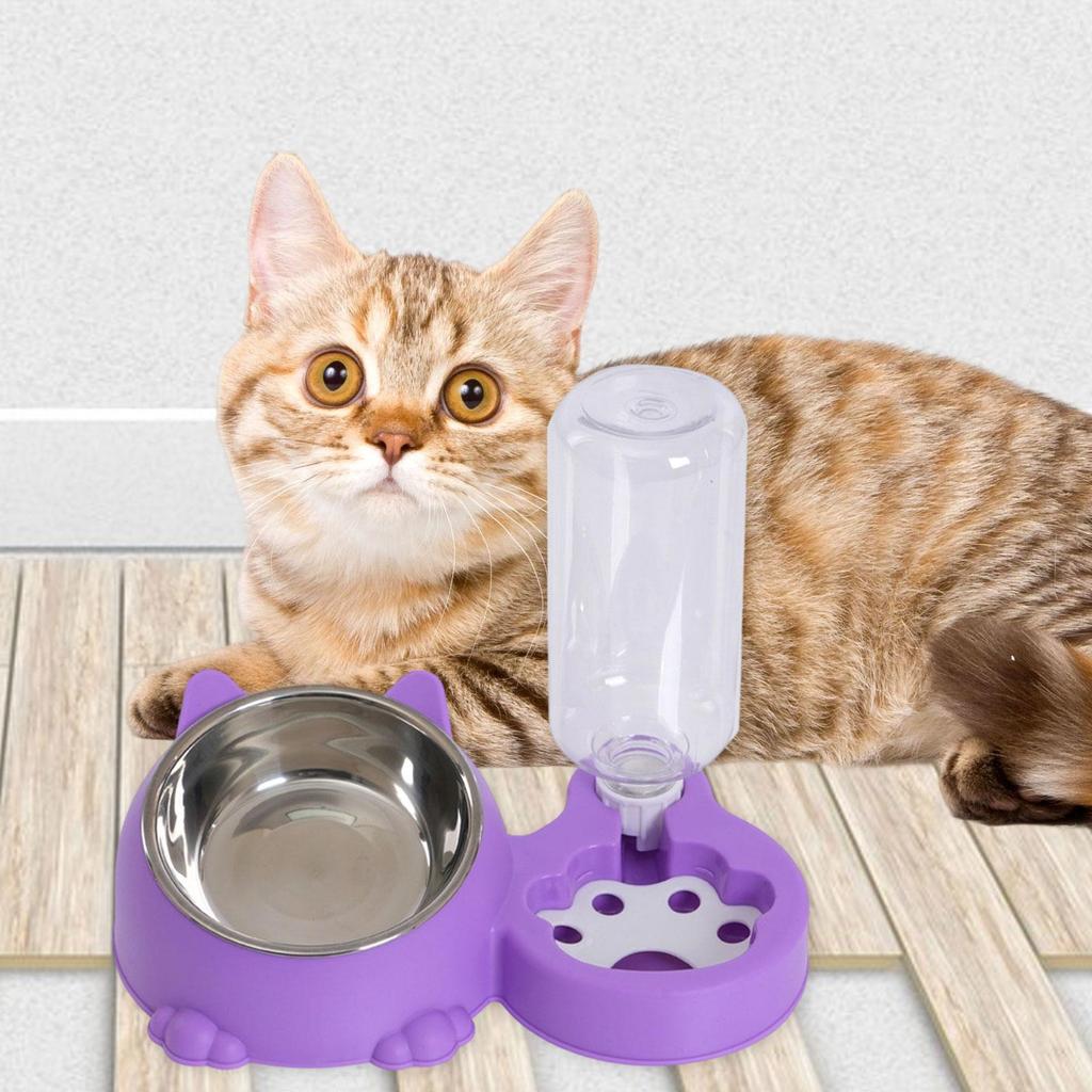 Tilted Cat Bowl with Automatic Water Bottle, Unique Dog Bowl with Automatic