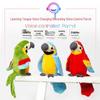 Interactive Parrot Plush Toy: Voice Recorder, Learns to Speak, Sings, Flaps Wings