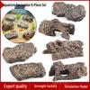 Pești și animale marine – Decorul acvariului